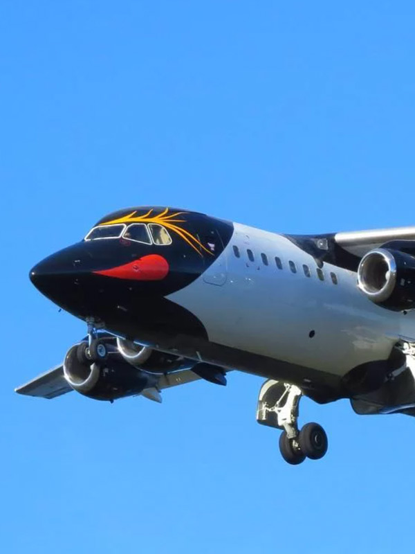 Vuelo más austral del mundo