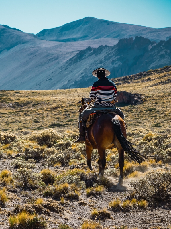 estancia patagona